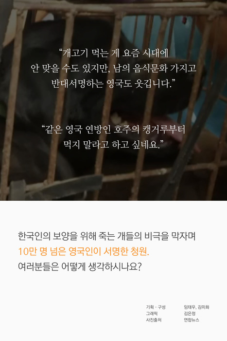 개고기 반대하는 신사의 나라 | 인스티즈