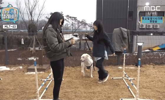[마리텔] aoa 민아(항숙이) 훈련시키는 모찌.gif | 인스티즈