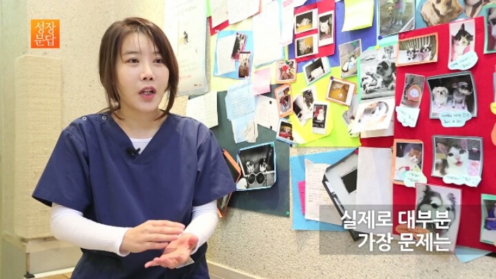 반려동물 키우기를 쉽게 생각하는 사람이 반드시 들어야 할 대답 | 인스티즈