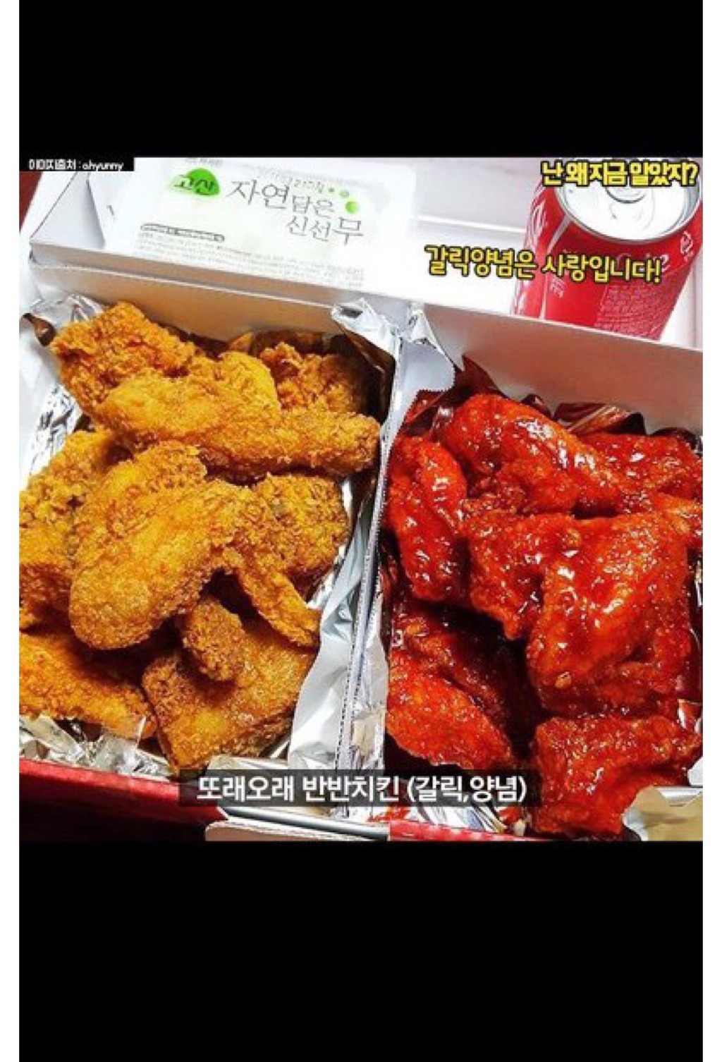치킨 브랜드별 짱맛 메뉴.JPG | 인스티즈