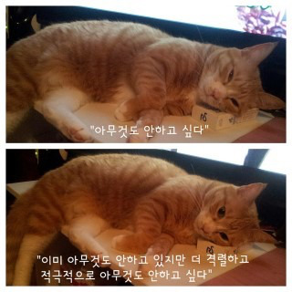 흠 이미지