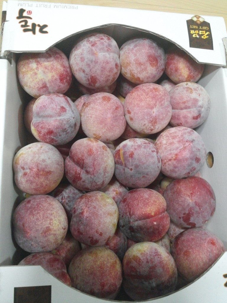 제이농원 이미지