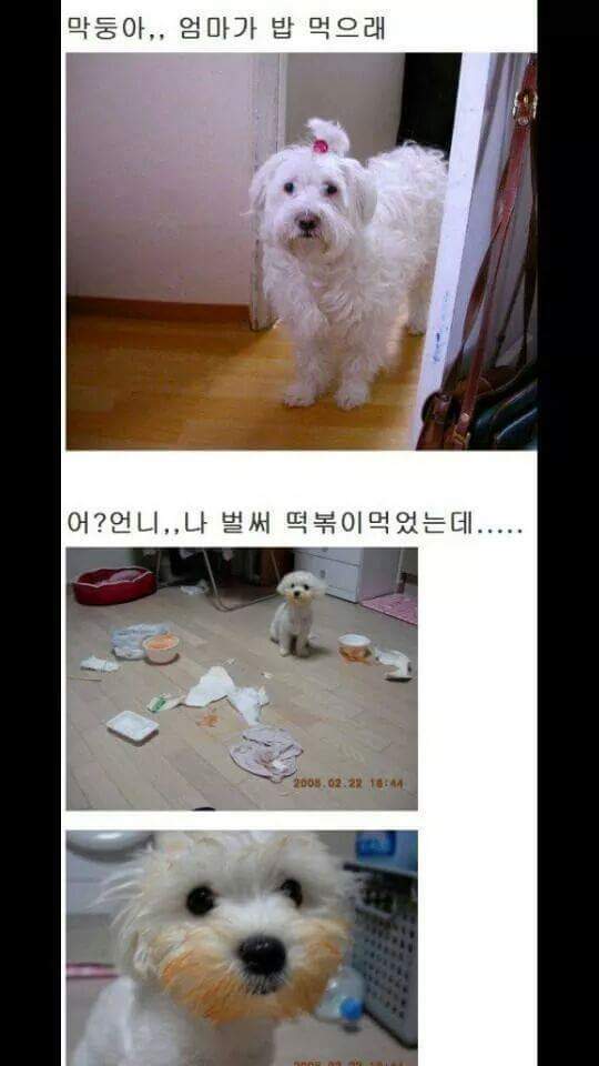 밥먹으래 | 인스티즈