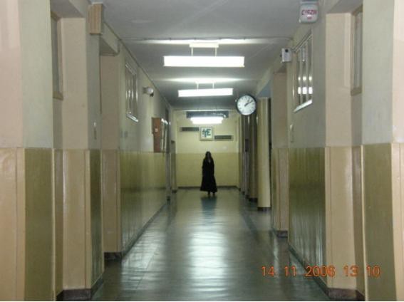 동양과 서양의 공포 차이 | 인스티즈