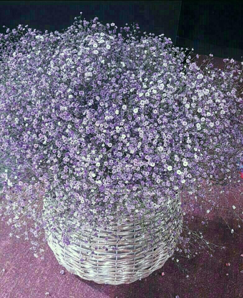 바람불어좋은날 이미지