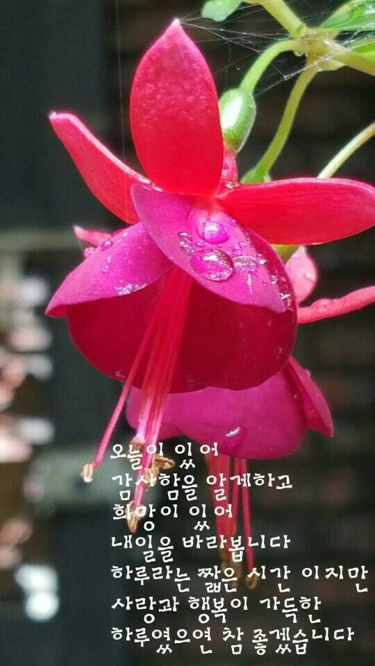 솜씨방 이미지