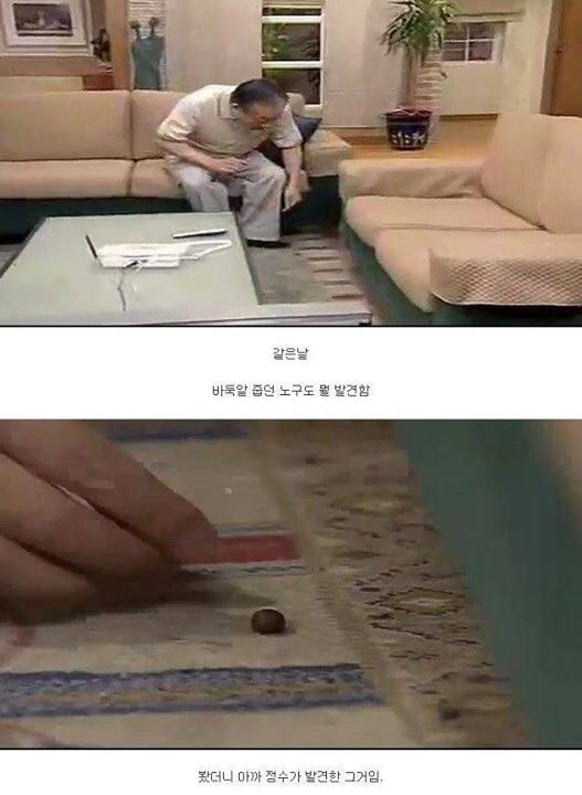 레전드 토끼사건 | 인스티즈