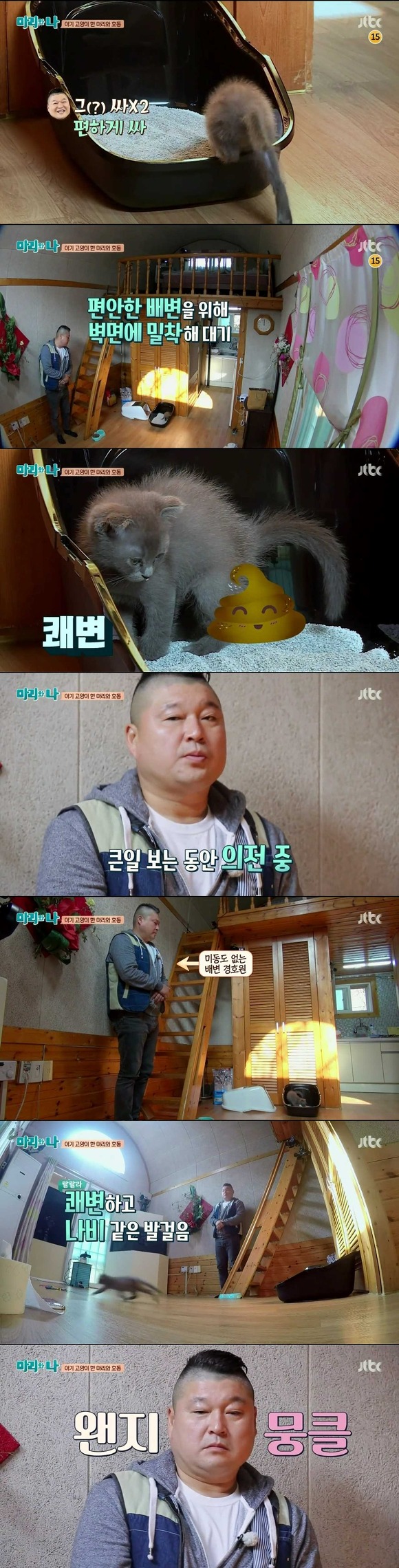 [마리와나] 케미가 냥냥 터지는 강호동과 새끼 고양이 토토.jpg | 인스티즈