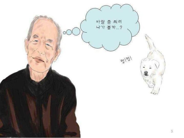 치매 할아버지를 구한 풍산개 | 인스티즈