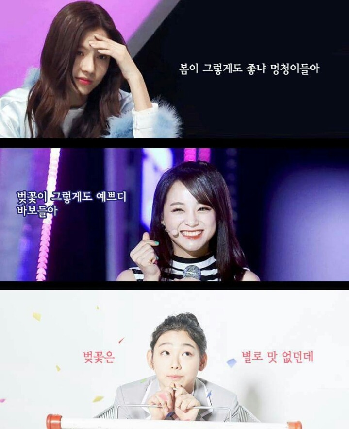 지나가다 마주치면 들고있던 빵 다주고싶게 생김 | 인스티즈