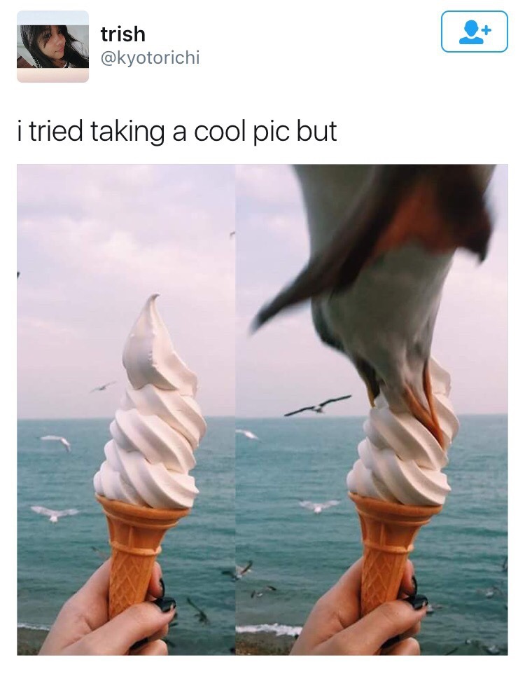 갈매기들도 좋아하는거 | 인스티즈