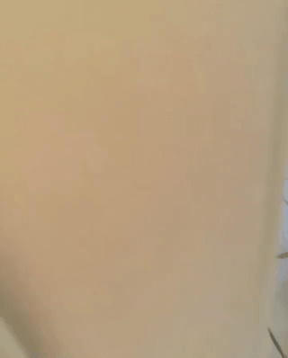대형견 성장과정.gif | 인스티즈