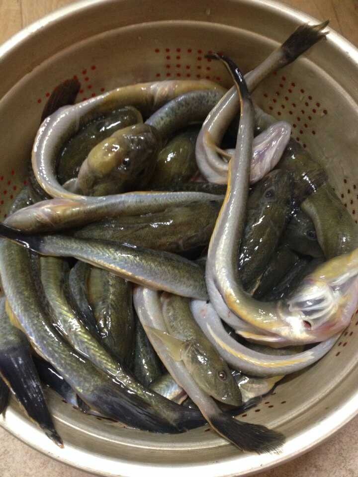 조림이랑 매운탕이랑 이미지