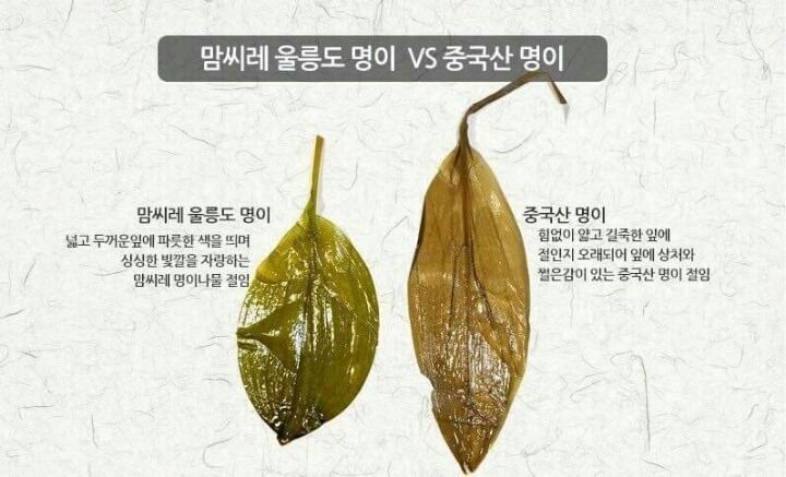 명이나물의 실체 | 인스티즈