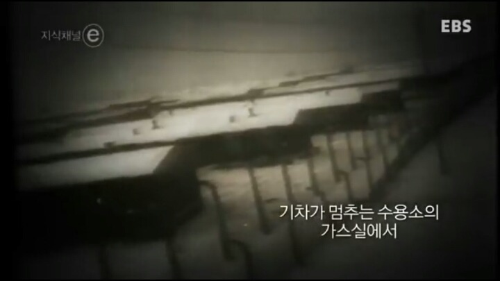 생각의 무능은 말하기의 무능을 낳고 행동의 무능을 낳는다 - 한나 아렌트- | 인스티즈