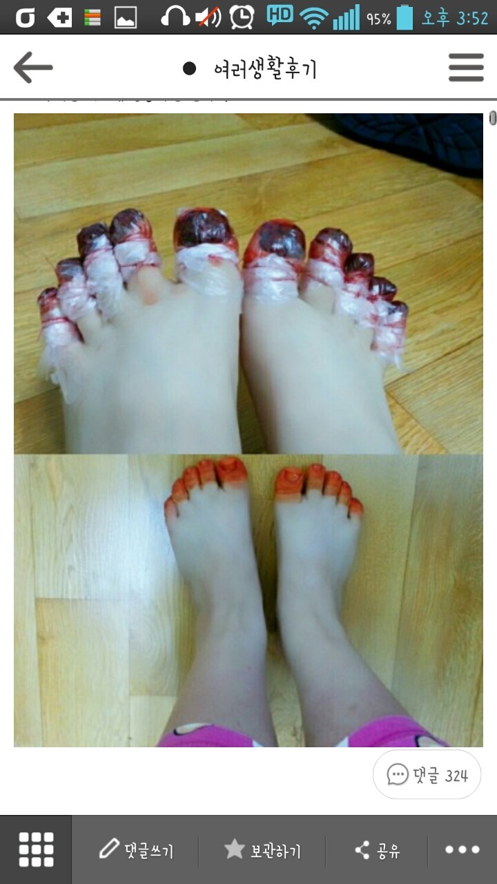봉숭아 이미지