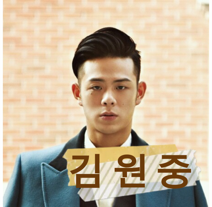 [동물칭구칭구] 아기 고양이들 일렬로 정렬하기 도전 | 인스티즈