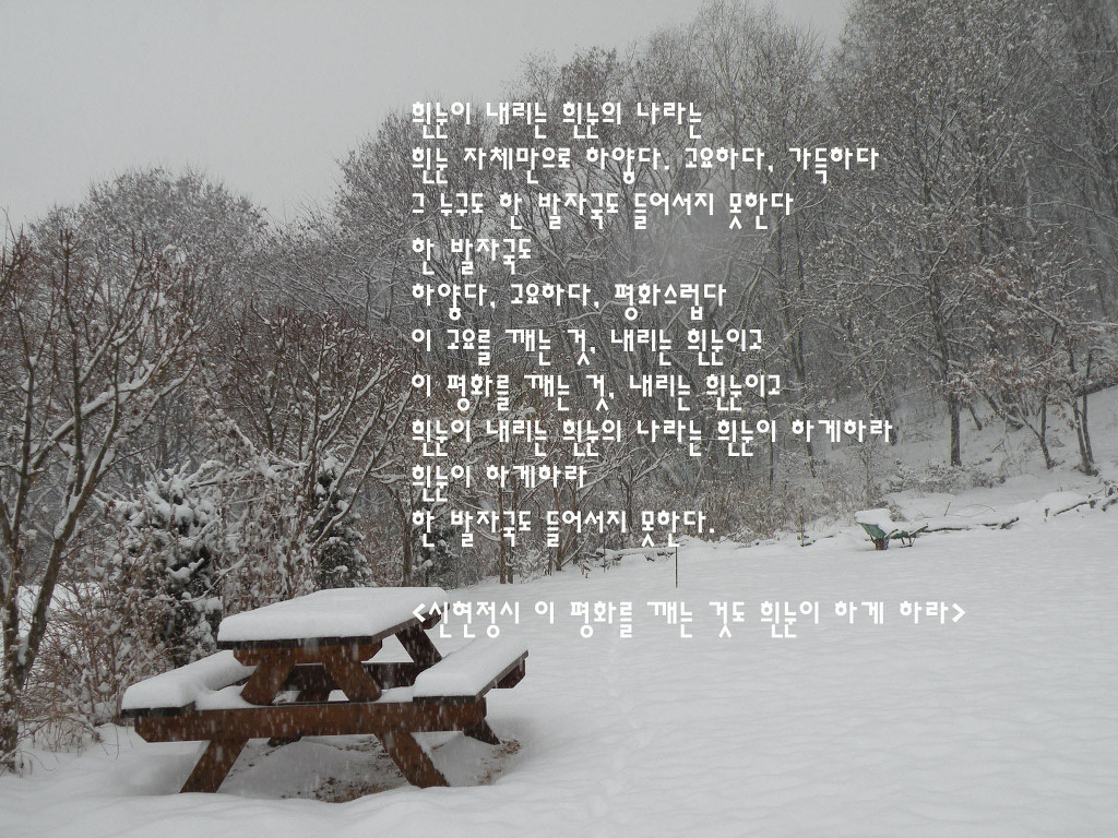눈의나라 이미지