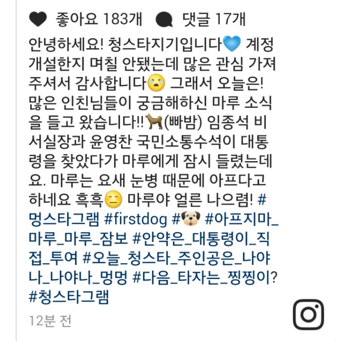 청와대 문마루 근황 | 인스티즈