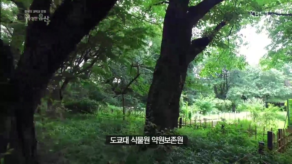 세계가 말하는 한의학과 동의보감 | 인스티즈