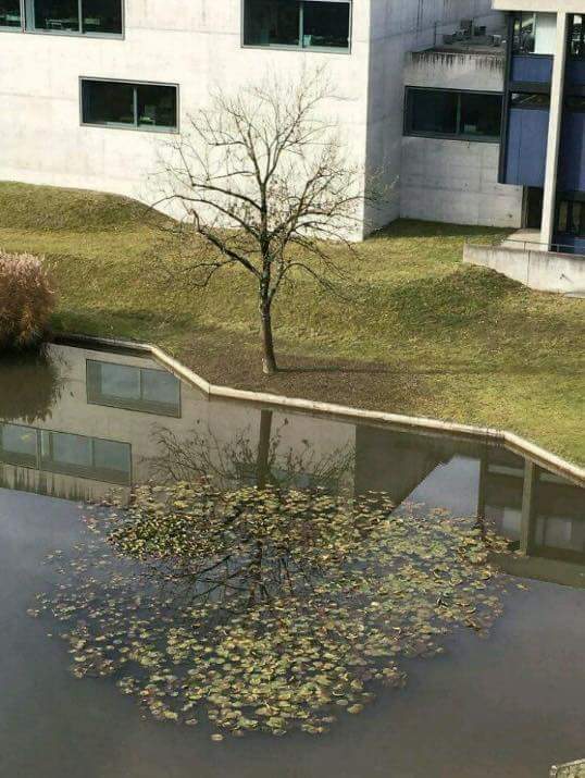 대머리의 과거회상 | 인스티즈