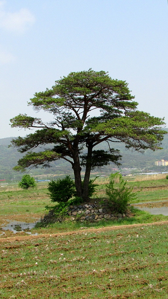 산림원 이미지