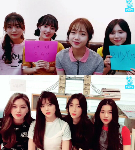 '프로듀스 101 시즌1' 탈락 연습생들 데뷔 예정 및 데뷔 현황 | 인스티즈