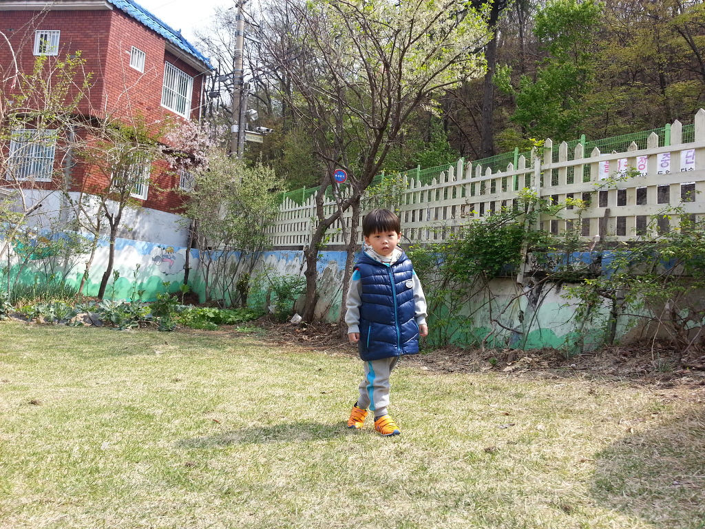 단율 이미지