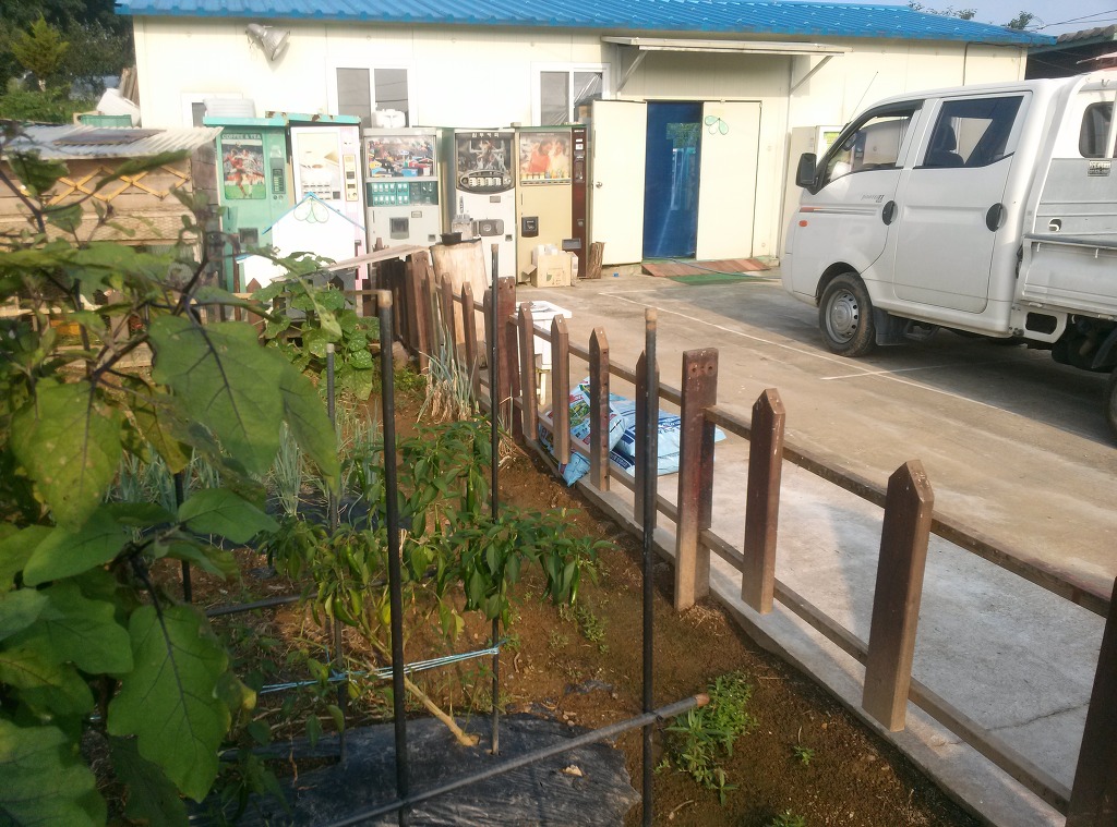 목동텃밭 이미지