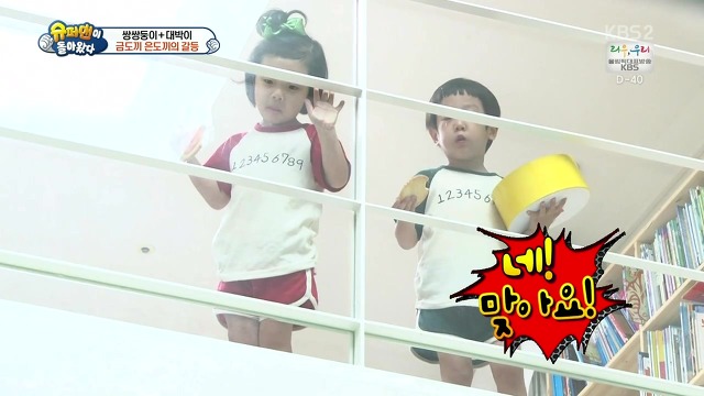 [슈돌] 달라도 넘나 다른 서언 수아와 서준 설아 성향ㅋㅋㅋㅋㅋ | 인스티즈