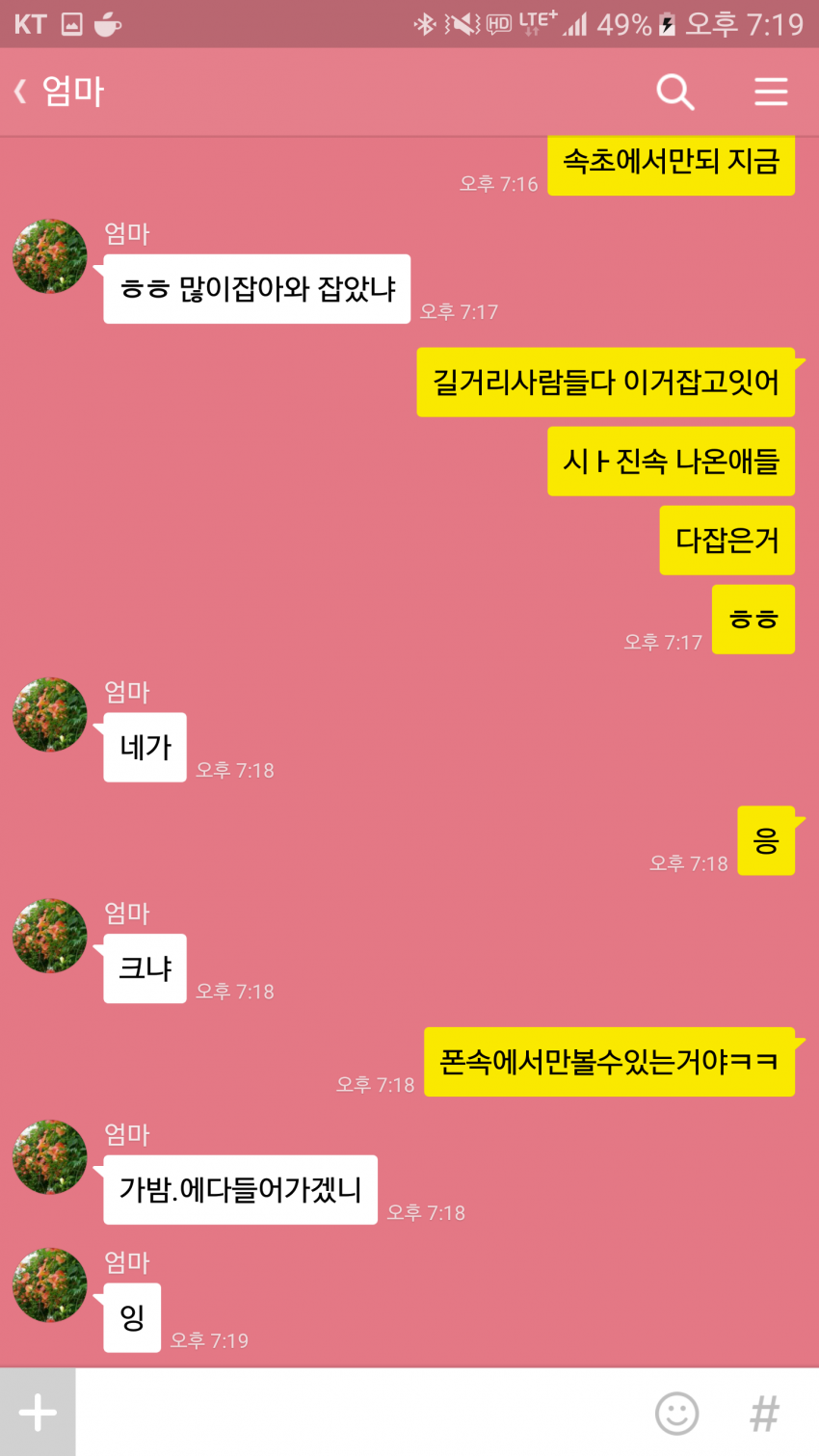 포켓몬 많이 잡아오라는 어머니.jpg | 인스티즈