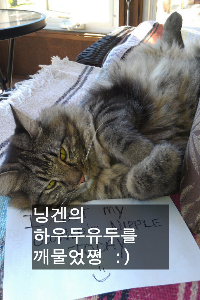 사랑스런 악동들 | 인스티즈