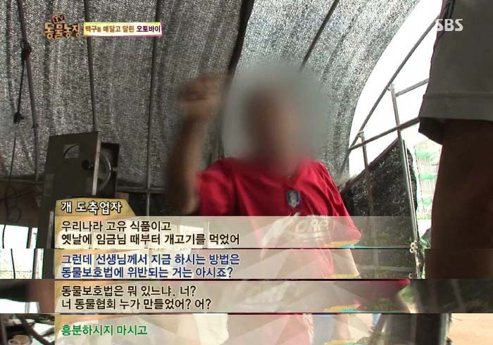 [TV동물농장] 동물농장에서 방송된 인천의 한 개 도축장의 현실.jpg | 인스티즈