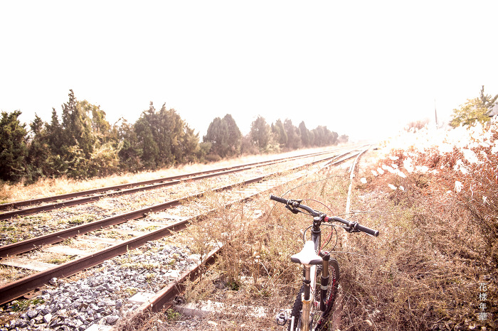 한량 이미지