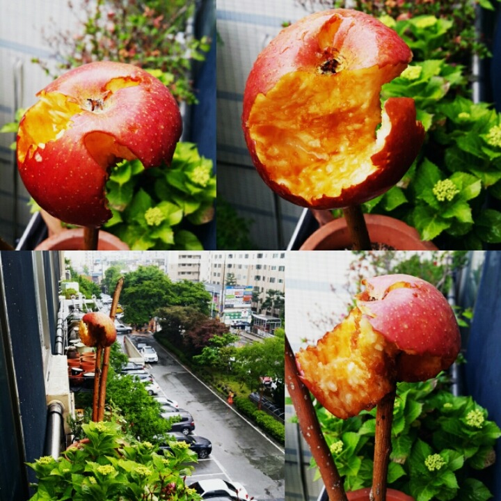 단비정원 이미지