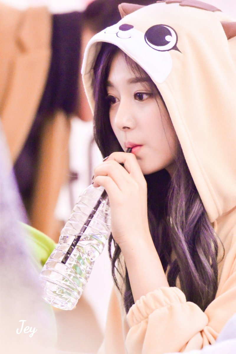 동물이 된 쯔위.jpgif | 인스티즈