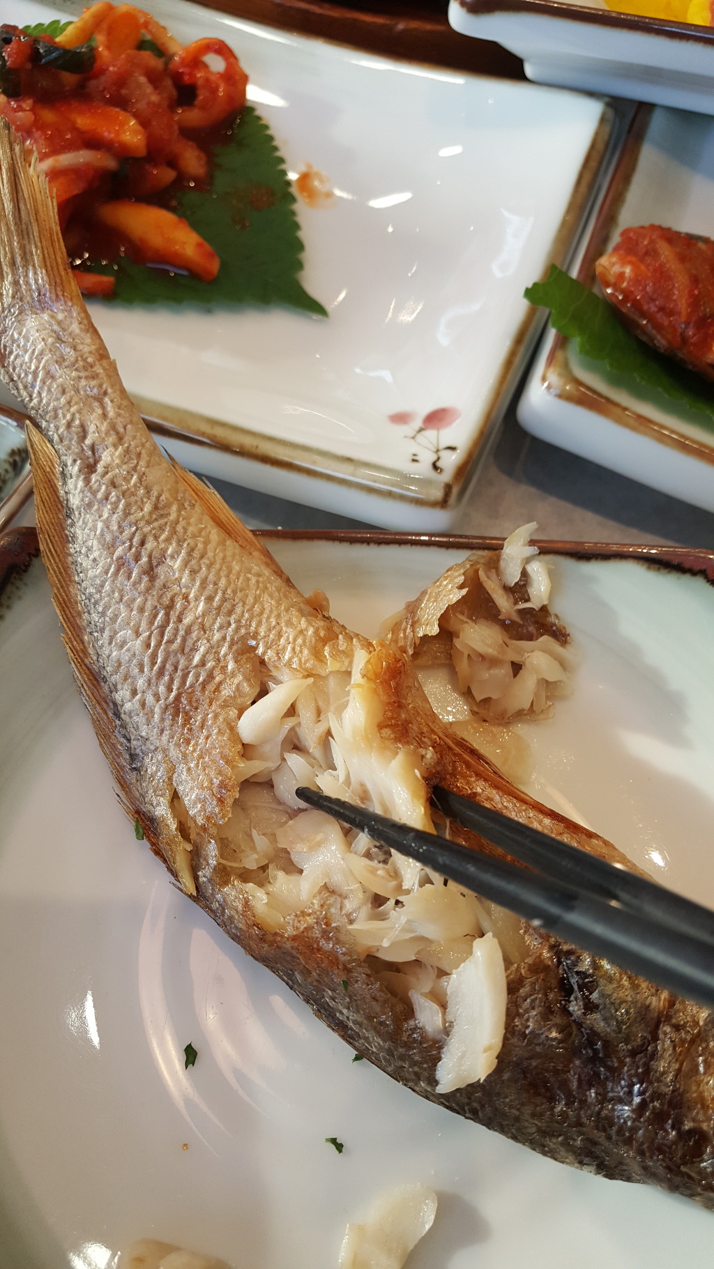 영광 맛집으로 유명한곳 | 인스티즈