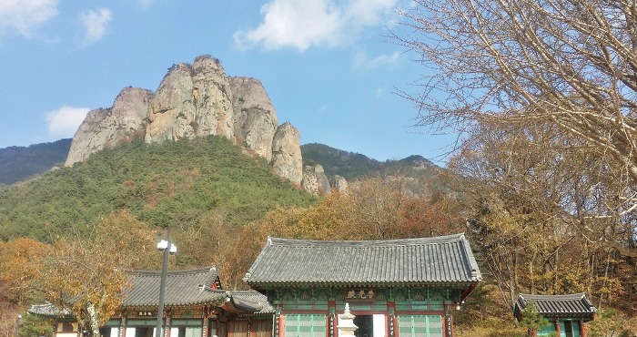 청송신용협동조합 이미지