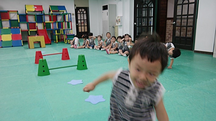 상상개나리 이미지
