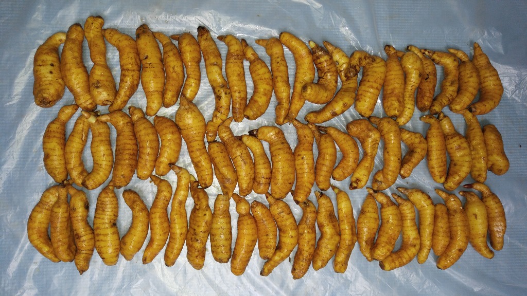 천마통신 이미지
