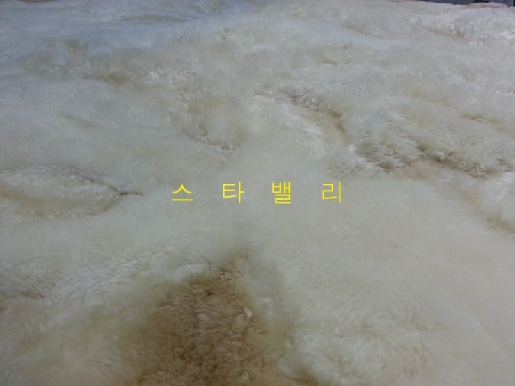 세탁수선 이미지