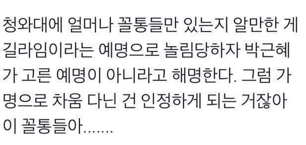 사실상 청와대는 우리편임 | 인스티즈