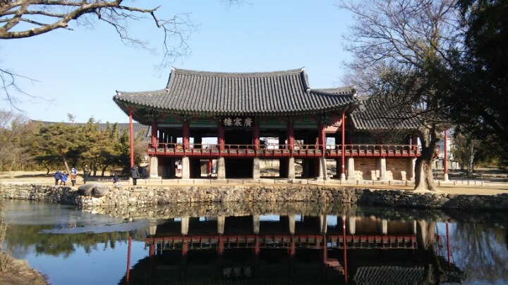 지리산흑도야지 이미지