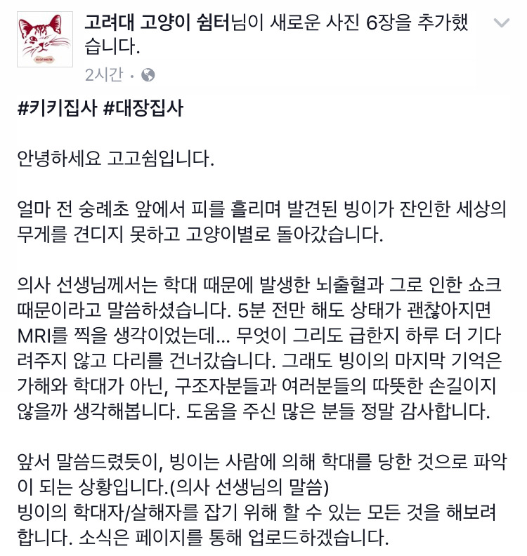 빙이가 잔인한 세상의 무게를 견디지 못하고 고양이별로 돌아갔습니다 | 인스티즈