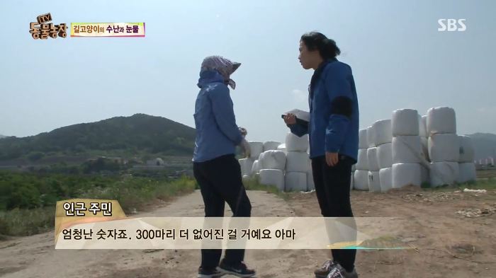 눈앞에서 제 아이가 맞아죽었습니다. 도와주세요 | 인스티즈