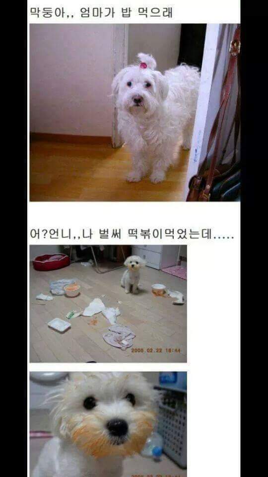 밥은 먹고 다니냐 | 인스티즈