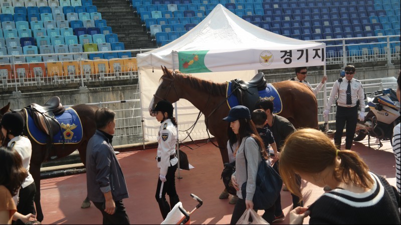 빅버드 이미지