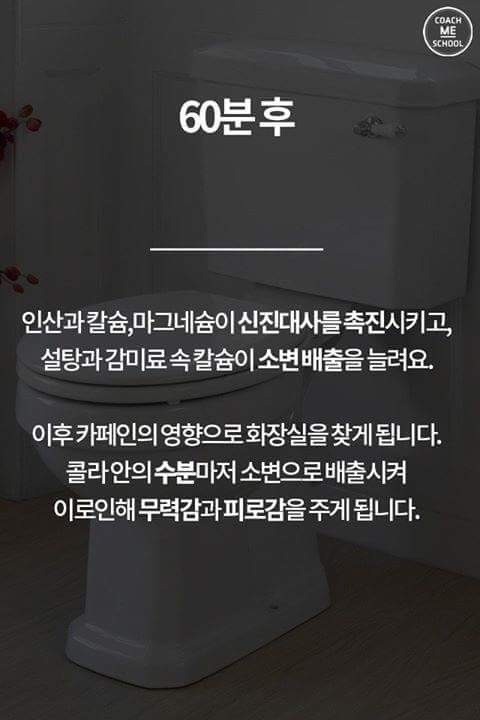 콜라를 마신 후 몸의 변화 | 인스티즈