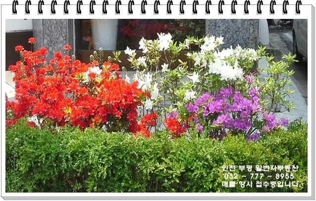 일단지정육점 이미지