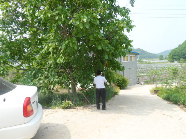삼삼사 이미지